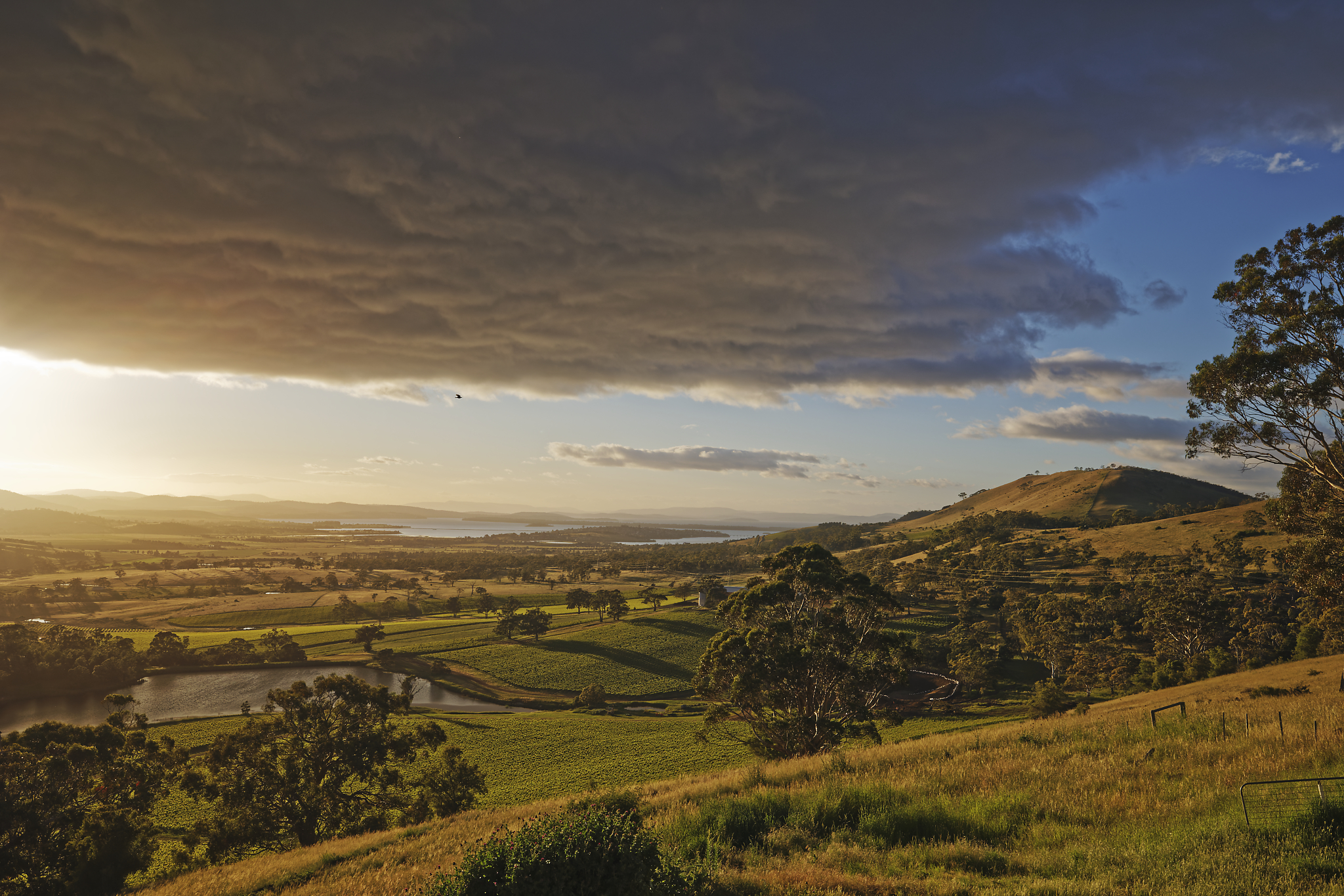 A Portrait of Hobart in Spring (STAGING)